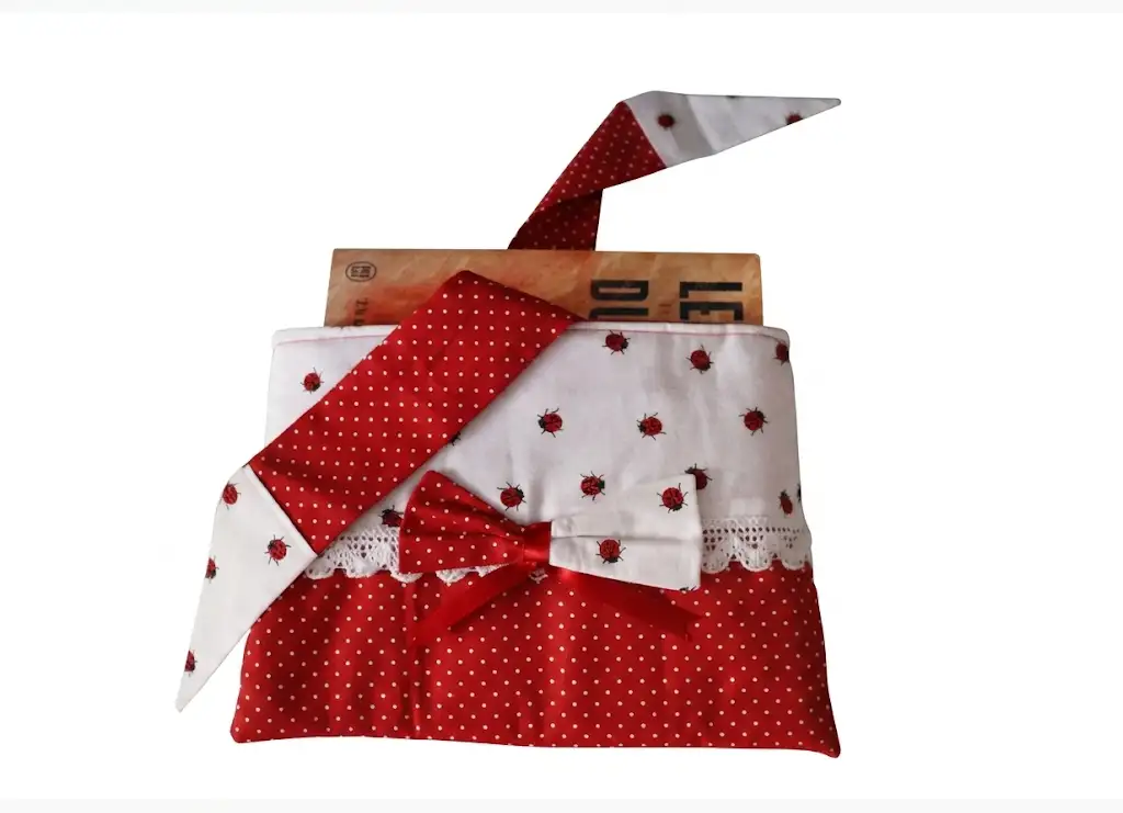 Protection Coccinelle fait main en France pour liseuse creaflo